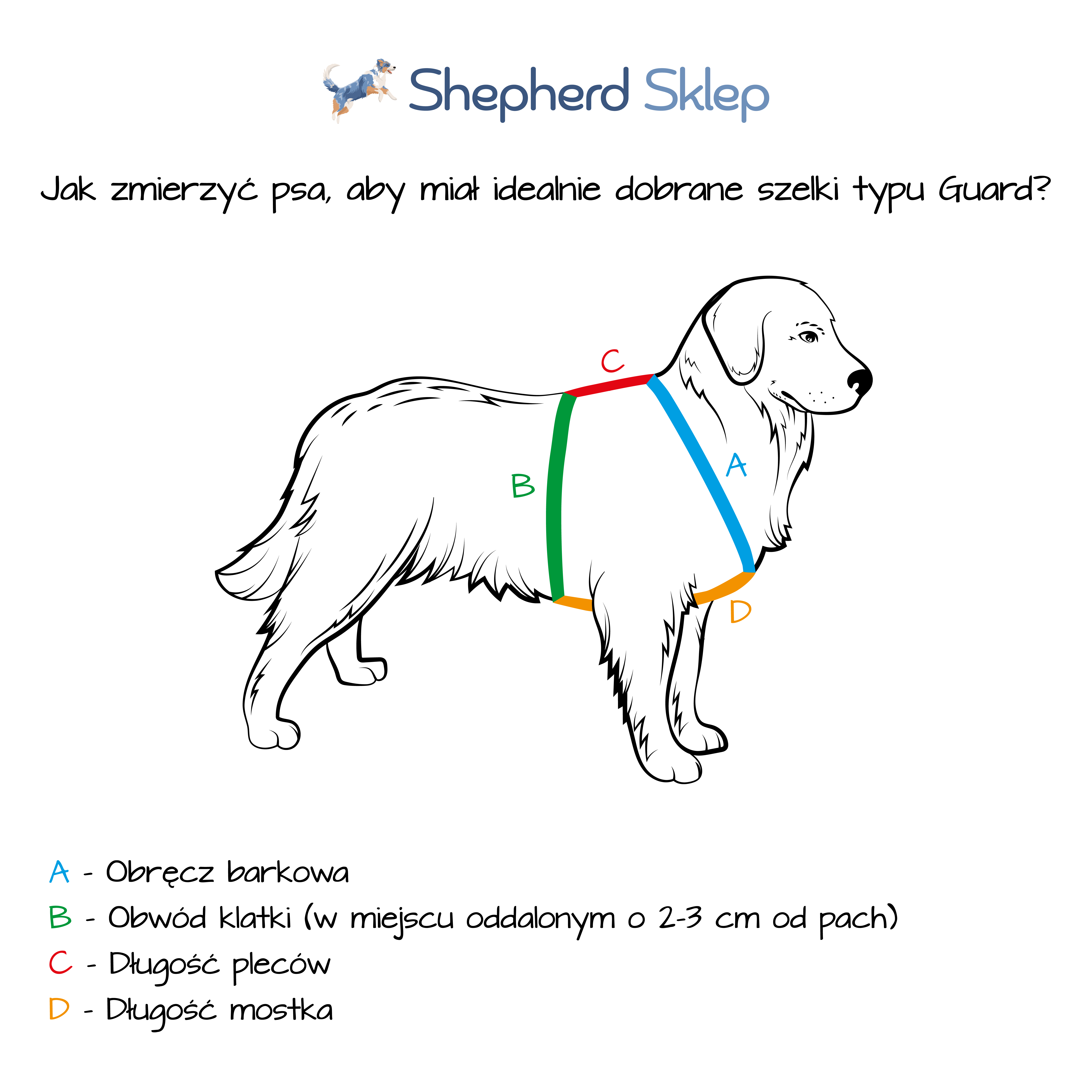 Jak mierzyć psiaka?